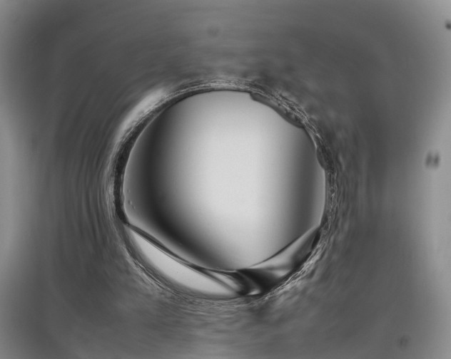 X0000097920197200803141448
