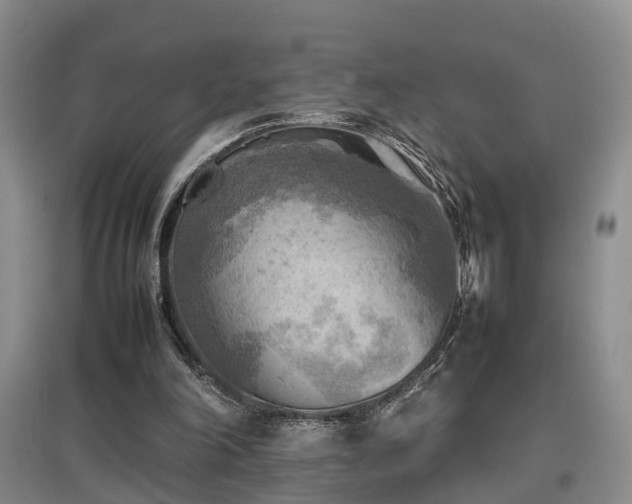 X0000097920198200803141448