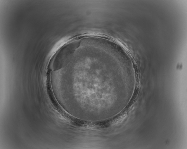 X0000097920199200803141448