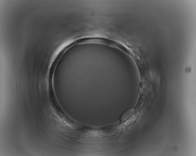 X0000097920200200803141448