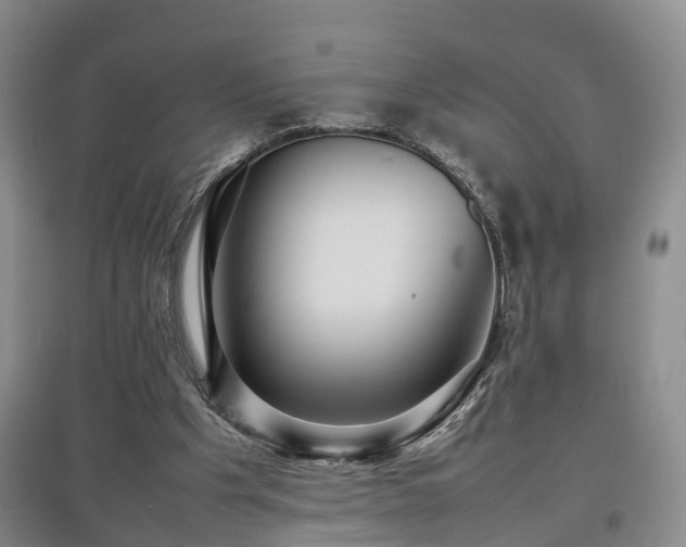 X0000097920201200803141448
