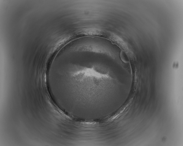 X0000097920202200803141448