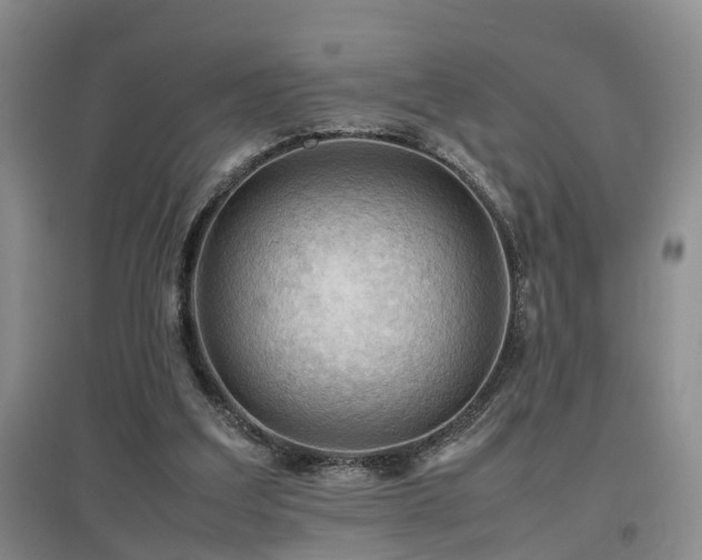X0000097920203200803141448