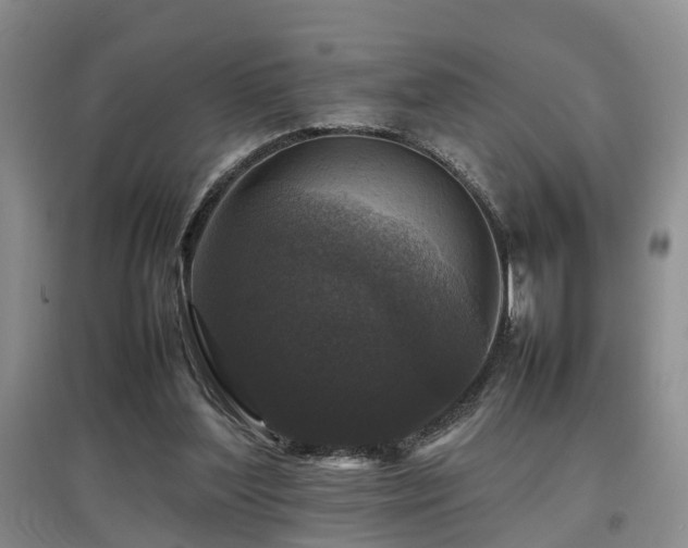 X0000097920204200803141448