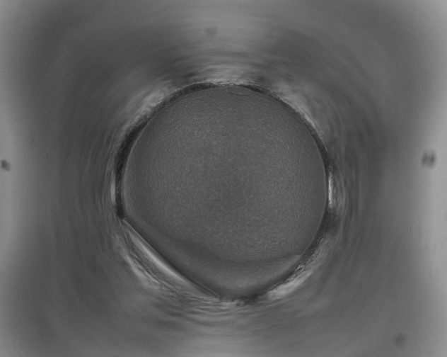 X0000097920205200803141448