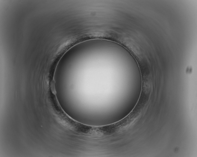 X0000097920207200803141448