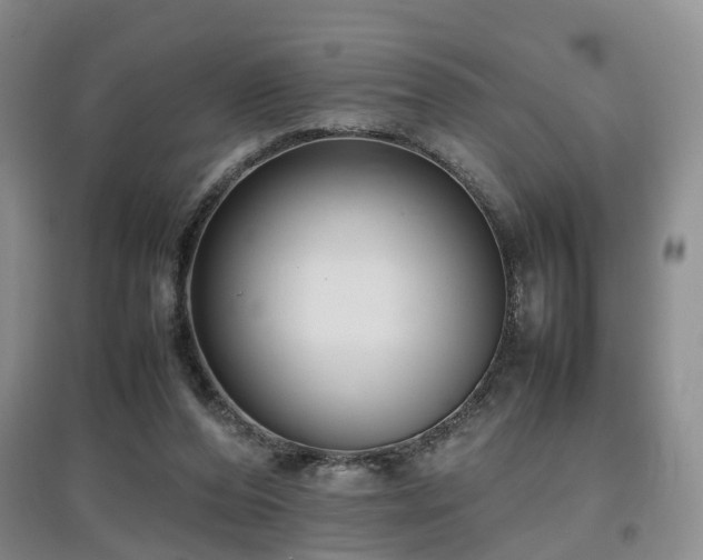 X0000097920208200803141448