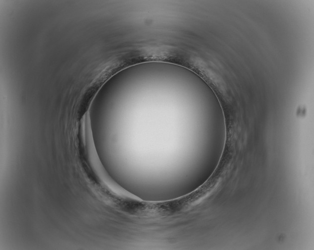 X0000097920209200803141448
