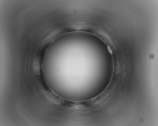 X0000097920210200803141448