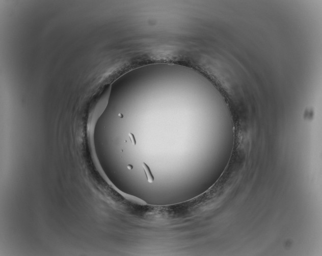 X0000097920211200803141448