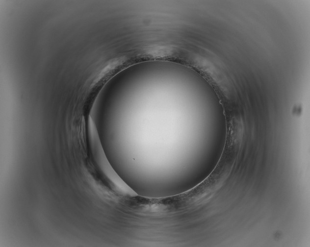 X0000097920212200803141448