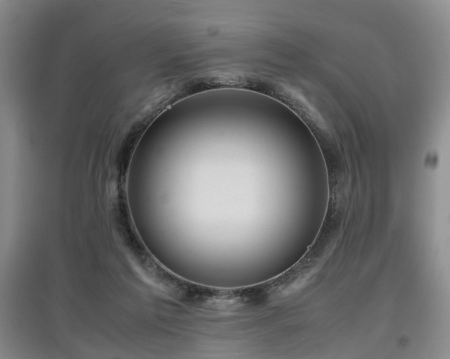 X0000097920213200803141448
