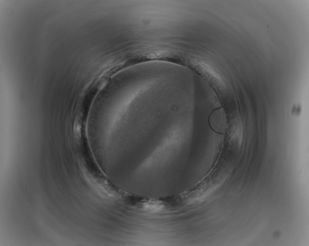 X0000097920214200803141448
