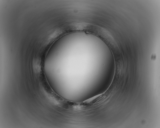 X0000097920216200803141448