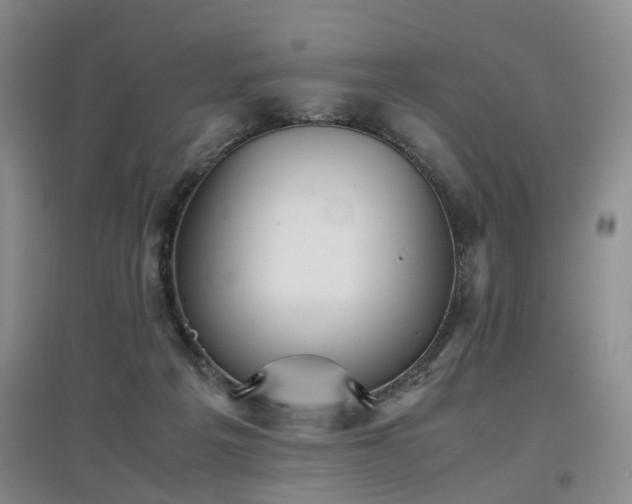 X0000097920217200803141448