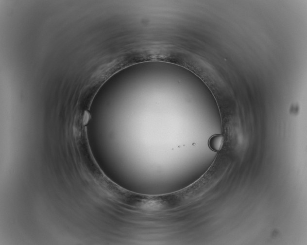 X0000097920218200803141448