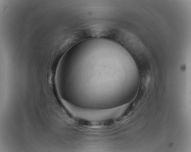X0000097920219200803141448