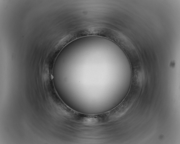 X0000097920220200803141448