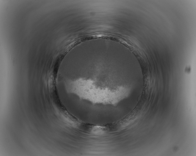 X0000097920222200803141448