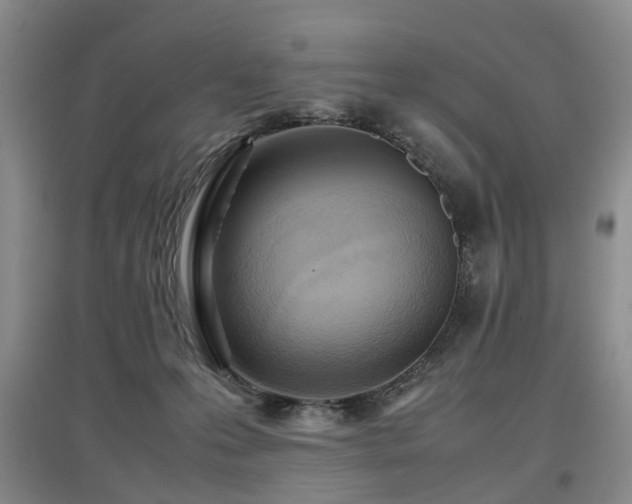 X0000097920223200803141448