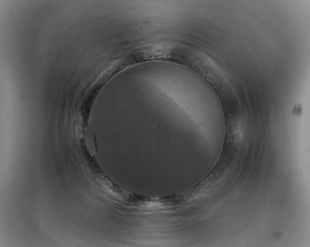 X0000097920224200803141448