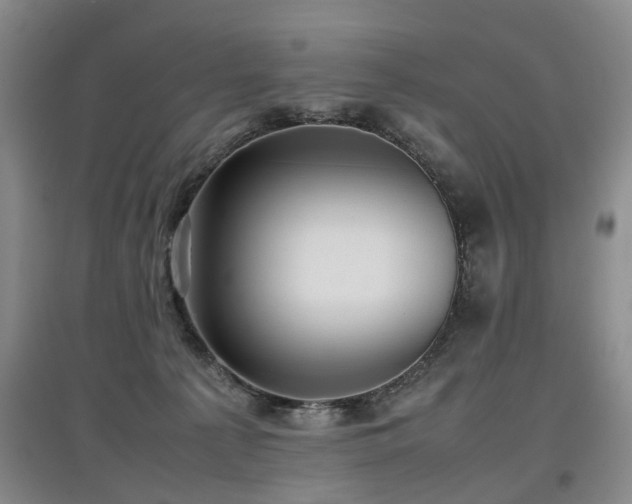 X0000097920225200803141448