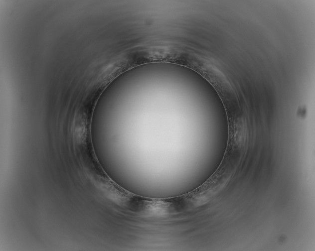 X0000097920226200803141448