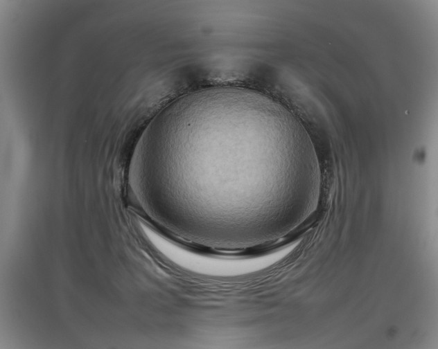 X0000097920227200803141448