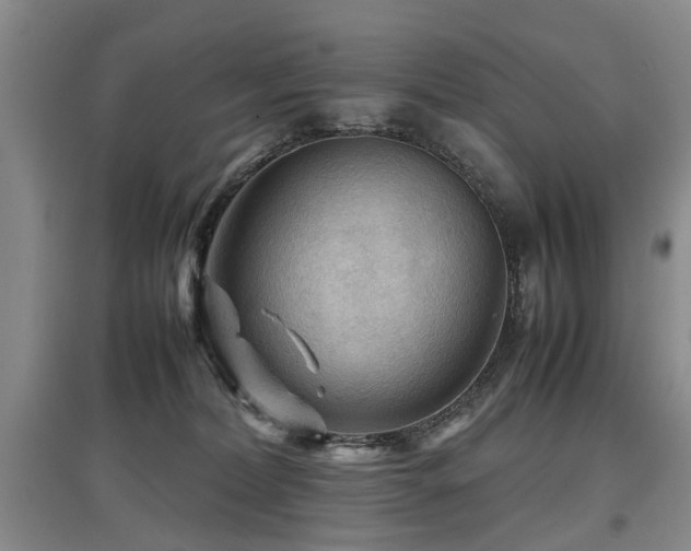 X0000097920228200803141448
