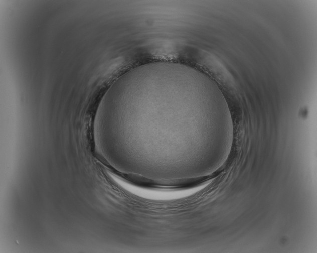 X0000097920229200803141448