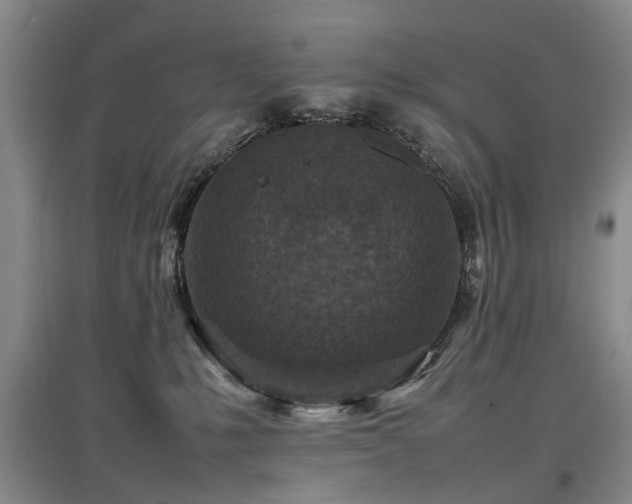 X0000097920231200803141448