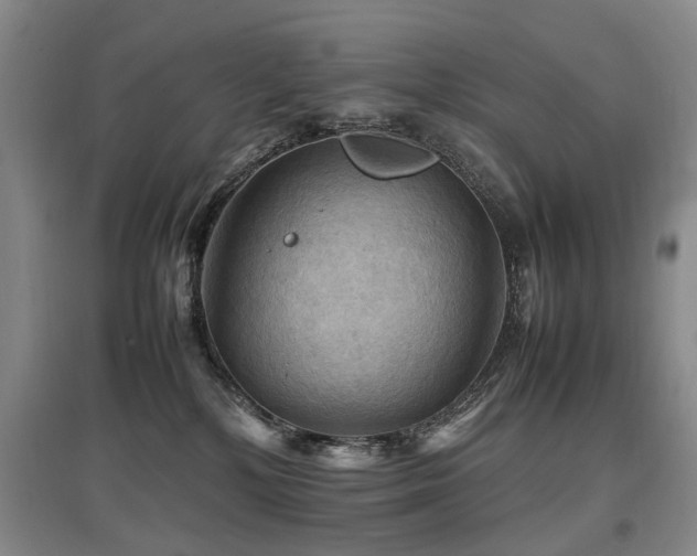 X0000097920232200803141448