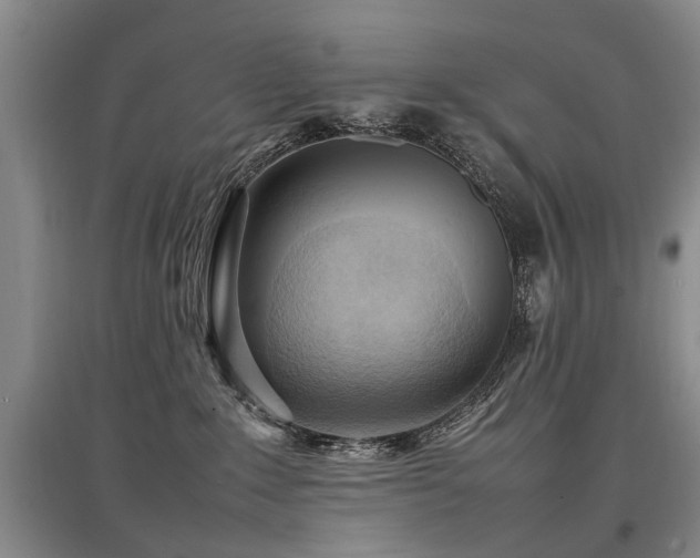 X0000097920235200803141448