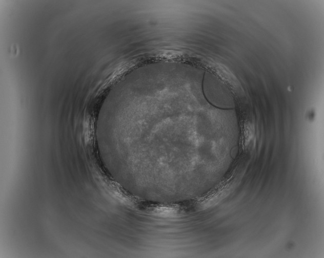 X0000097920236200803141448