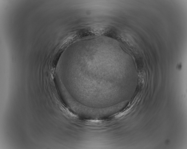 X0000097920237200803141448