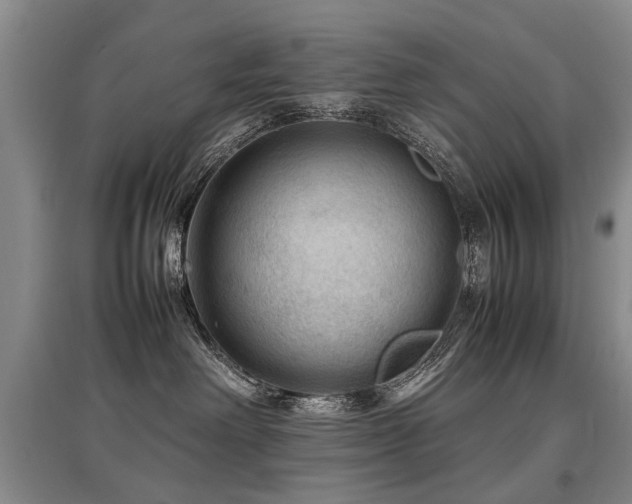 X0000097920238200803141448