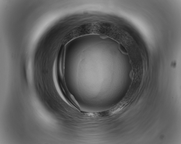 X0000097920239200803141448