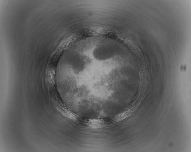 X0000097920240200803141448