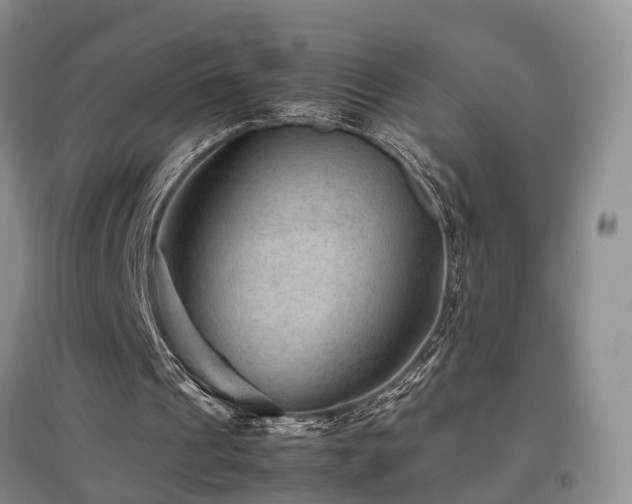 X0000097920241200803141447
