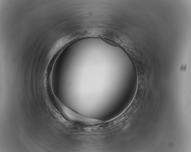 X0000097920242200803141447