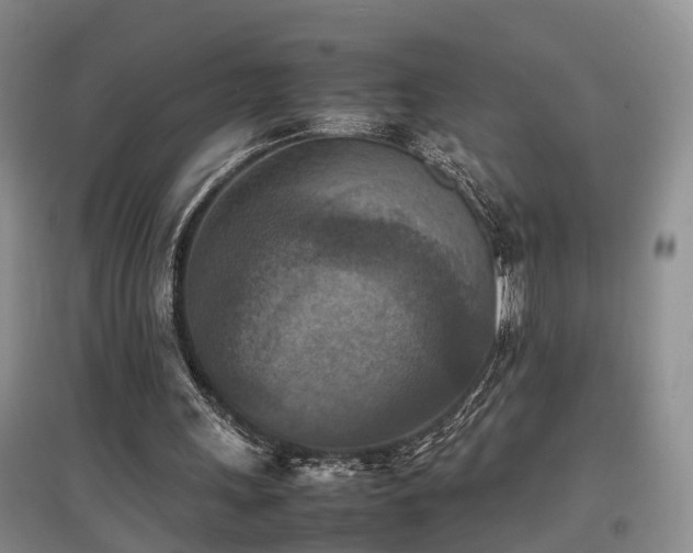 X0000097920243200803141447