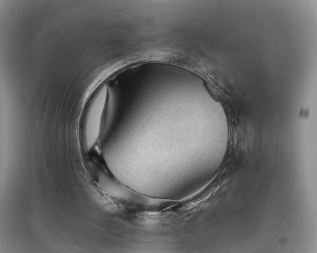 X0000097920244200803141447