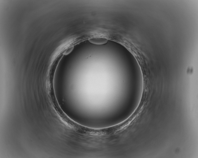 X0000097920245200803141447