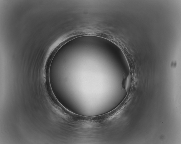 X0000097920246200803141447