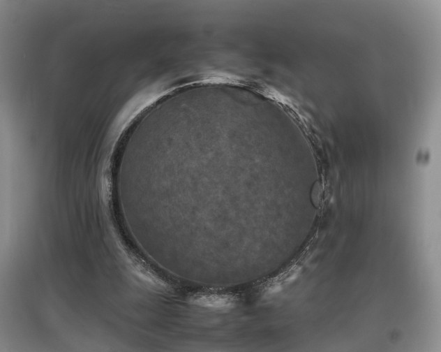 X0000097920247200803141447