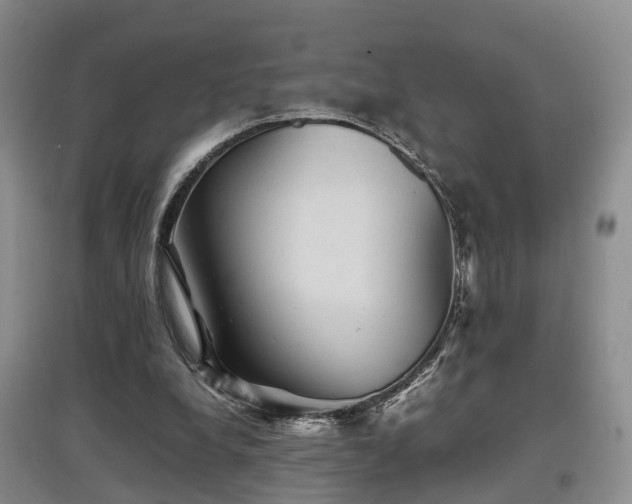 X0000097920248200803141447