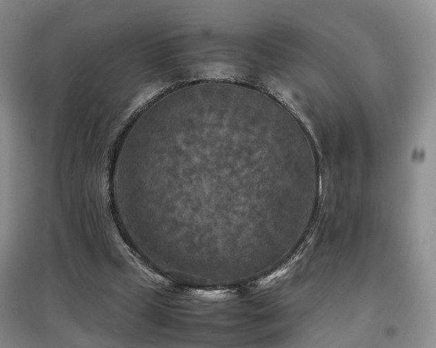 X0000097920249200803141447