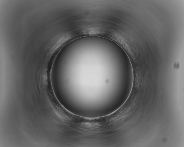 X0000097920251200803141447