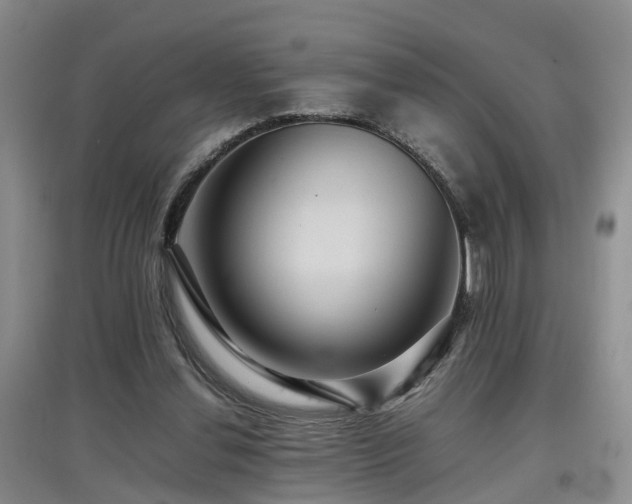 X0000097920252200803141447