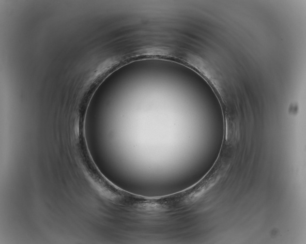 X0000097920253200803141447